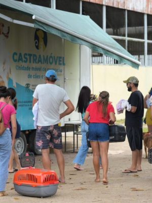Com cerca de 300 cães e gatos atendidos, a recém-criada Secretaria de Estado de Proteção Animal do Amazonas (Sepet) realizou, neste fim de semana (03 e 04/05), sua primeira campanha de castração no interior do estado, no município de Barcelos (a 399 quilômetros de Manaus).