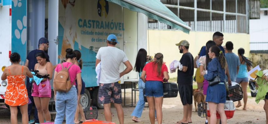 Com cerca de 300 cães e gatos atendidos, a recém-criada Secretaria de Estado de Proteção Animal do Amazonas (Sepet) realizou, neste fim de semana (03 e 04/05), sua primeira campanha de castração no interior do estado, no município de Barcelos (a 399 quilômetros de Manaus).