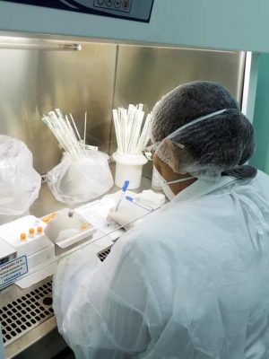 A Fundação de Vigilância em Saúde do Amazonas – Dra. Rosemary Costa Pinto (FVS-RCP), vinculada à Secretaria de Estado de Saúde (SES-AM), divulgou nesta terça-feira (30) um novo informe epidemiológico sobre a esporotricose, infecção causada por fungos do gênero Sporothrix, que afeta humanos e animais.