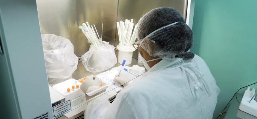 A Fundação de Vigilância em Saúde do Amazonas – Dra. Rosemary Costa Pinto (FVS-RCP), vinculada à Secretaria de Estado de Saúde (SES-AM), divulgou nesta terça-feira (30) um novo informe epidemiológico sobre a esporotricose, infecção causada por fungos do gênero Sporothrix, que afeta humanos e animais.